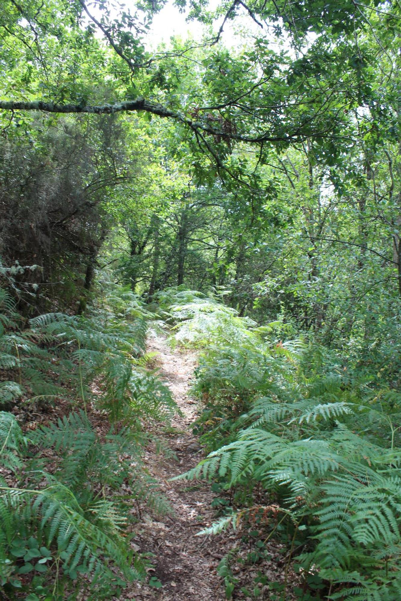 Aldea Rural Santo Andre Pension Congostro Buitenkant foto
